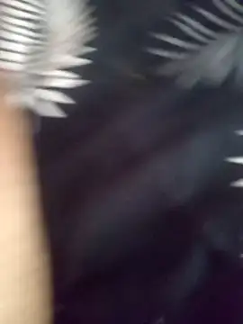 jocafe1995 online show from 02-04-26, 07:20