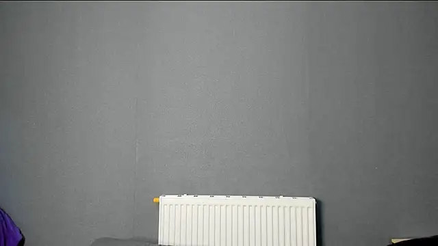 Snapshot of SherlockMax chatting on 11-07-25, 04:29 SherlockMax online show from 11-07-25, 04:29