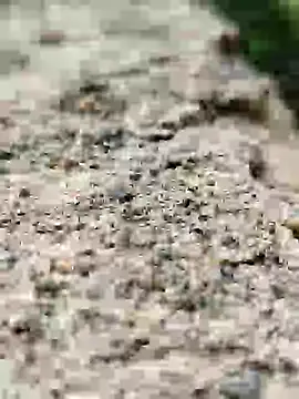 Girls pussy rider online show from 09-14-25, 01:49