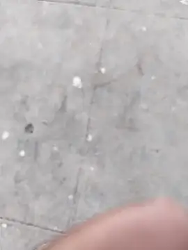 Snapshot of Wet_BunnyFun chatting on 11-05-25, 12:05 Wet BunnyFun online show from 11-05-25, 12:05