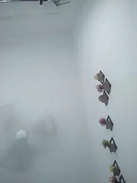 Wet BunnyFun online show from 05-19-26, 02:29