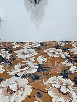 sneha bebo online show from 01-09-26, 03:04