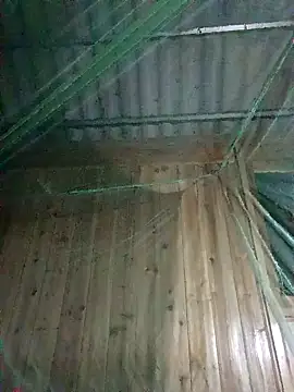 Mptrangp online show from 04-15-26, 07:58