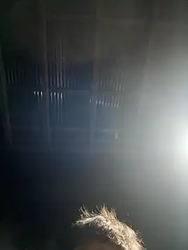 Snapshot of usu0130 chatting on 10-16-25, 02:07 usu0130 online show from 10-16-25, 02:07