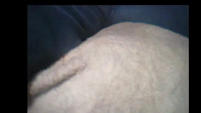 pietje1991 online show from 12-14-25, 10:25