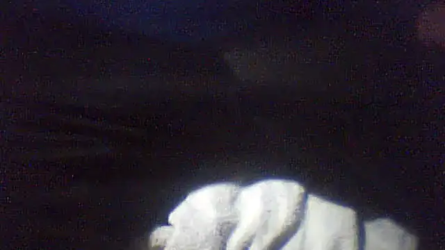 pietje1991 online show from 02-10-26, 01:10