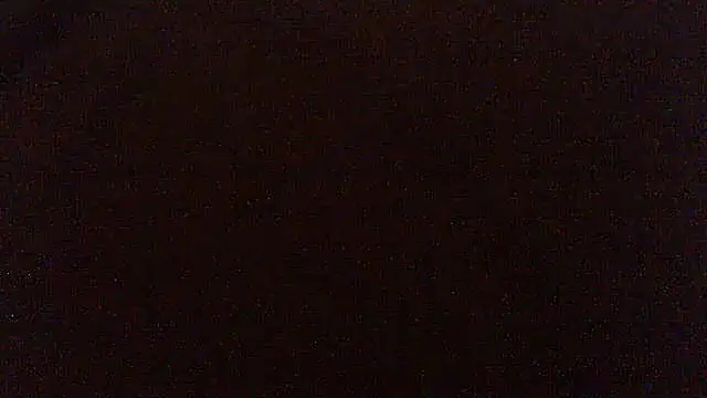 pietje1991 online show from 04-17-26, 08:01