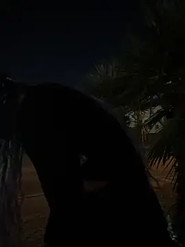 TranSexualJade95 online show from 11-01-25, 10:06