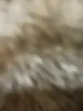 Sayhi xo online show from 09-27-25, 09:25