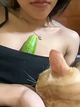 Sayhi xo online show from 12-01-25, 03:17