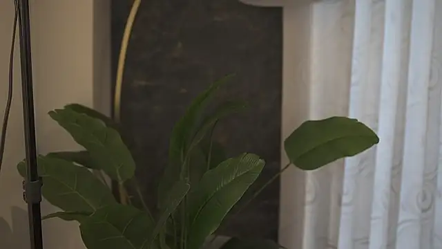 Ariaa Isabell online show from 09-11-25, 06:30