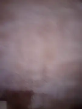 Snapshot of ddllrr224 chatting on 12-16-25, 11:43 ddllrr224 online show from 12-16-25, 11:43