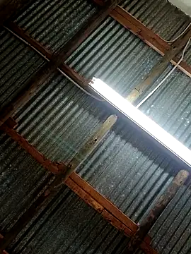 Snapshot of Fizozoo chatting on 09-21-25, 04:58 Fizozoo online show from 09-21-25, 04:58