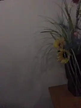 Snapshot of newjam chatting on 10-26-25, 08:09 newjam online show from 10-26-25, 08:09