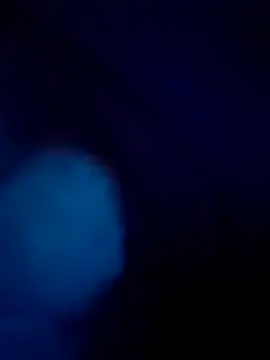 treefrog2025 online show from 09-17-25, 11:28