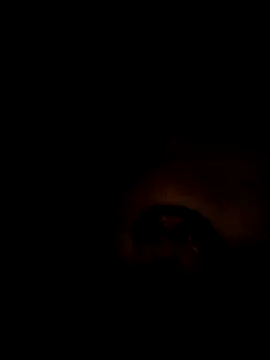 ShawnandDani7074 online show from 02-07-26, 03:21