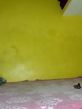 Dazzling khushii online show from 09-11-25, 10:04