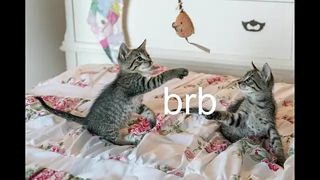 Snapshot of Pink_girl0n chatting on 09-24-25, 02:42 Pink girl0n online show from 09-24-25, 02:42