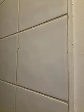 Snapshot of raen001 chatting on 11-06-25, 08:54 raen001 online show from 11-06-25, 08:54