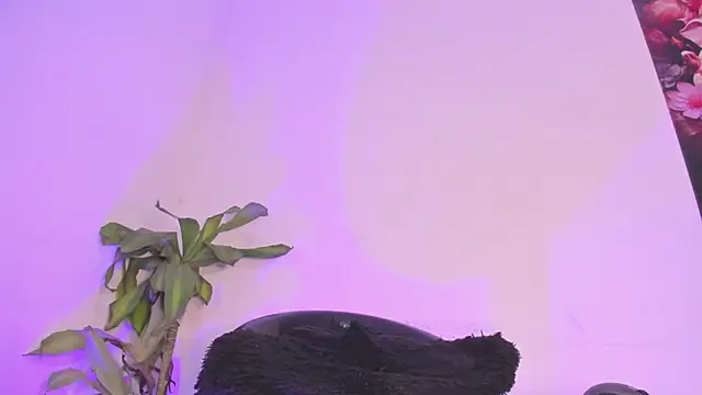 Lucy shen  online show from 01-10-26, 12:01