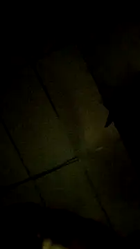 Snapshot of Bosssweet22cm chatting on 03-18-26, 12:14 Bosssweet22cm online show from 03-18-26, 12:14