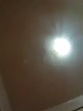 alexpo27 online show from 12-22-25, 02:52