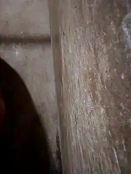 Lujor online show from 03-13-26, 11:44