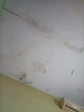 cometa267 online show from 10-14-25, 05:58