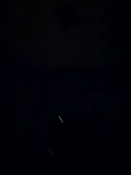 Mumuska online show from 10-29-25, 09:05