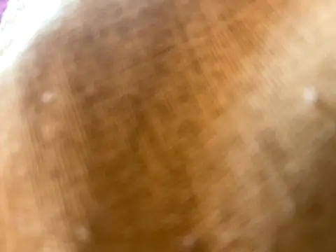 Snapshot of atessu07 chatting on 10-17-25, 10:07 atessu07 online show from 10-17-25, 10:07