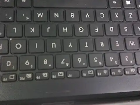 WetWildPussy online show from 09-23-25, 12:35