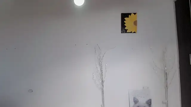 Stein  online show from 09-15-25, 01:55