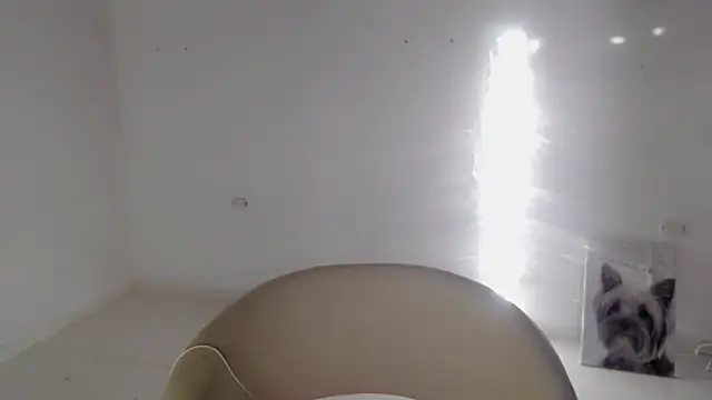 Stein  online show from 09-19-25, 11:55