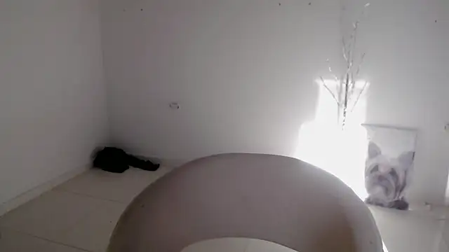 Stein  online show from 09-24-25, 12:52