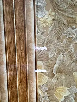 Snapshot of Julia-Elsa chatting on 11-02-25, 03:53 Julia-Elsa online show from 11-02-25, 03:53