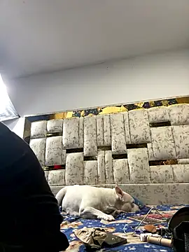 DayanaDG online show from 01-09-26, 05:54