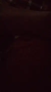 wanderboy1000 online show from 01-19-26, 03:05