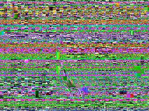 Dilfcam101 online show from 03-25-26, 09:26