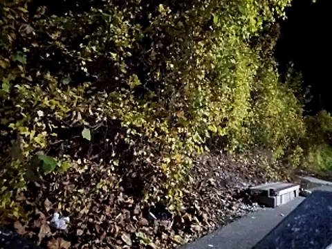 Snapshot of sloppytopkins chatting on 11-06-25, 08:15 sloppytopkins online show from 11-06-25, 08:15