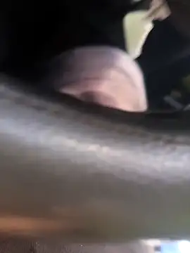 Snapshot of Frank0021 chatting on 11-04-25, 05:34 Frank0021 online show from 11-04-25, 05:34