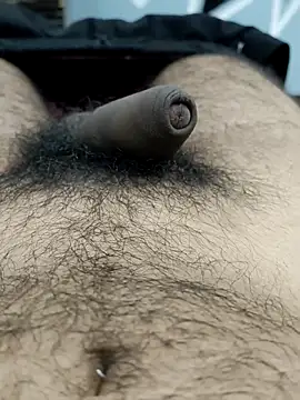 Snapshot of Bull54321 chatting on 09-19-25, 04:47 Bull54321 online show from 09-19-25, 04:47