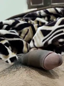 Snapshot of Bull54321 chatting on 02-14-26, 06:54 Bull54321 online show from 02-14-26, 06:54