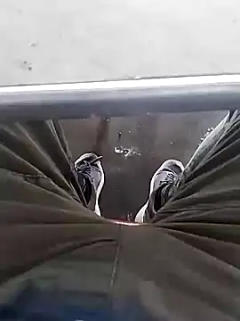 Aliyeni1 online show from 12-01-25, 09:25