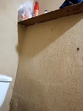 125Delfin90 online show from 04-18-26, 08:51