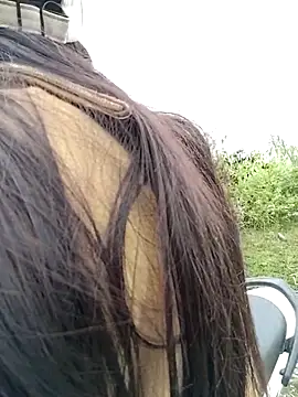 asian 2k online show from 11-23-25, 01:16