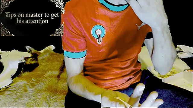 JUSTFORRICH online show from 01-15-26, 03:00