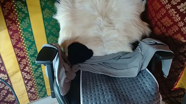 JUSTFORRICH online show from 04-15-26, 12:34