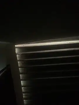 Snapshot of envolvemteX chatting on 03-01-26, 10:17 envolvemteX online show from 03-01-26, 10:17