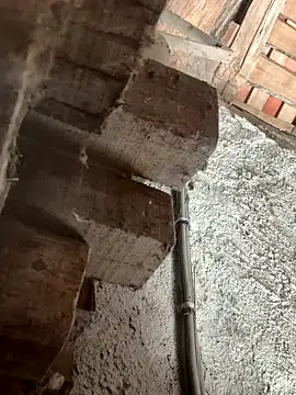 Snapshot of fcach2244 chatting on 09-09-25, 08:25 fcach2244 online show from 09-09-25, 08:25