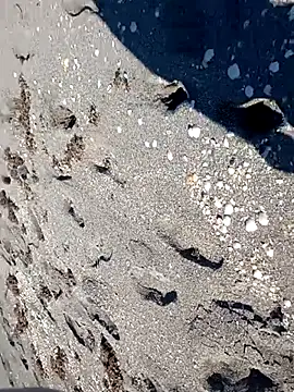 sarahkat86 online show from 11-14-25, 06:28